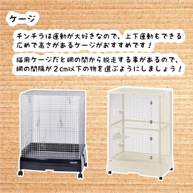 運動が大好きなので、ケージは広めで上下運動もできるように高さのあるものがおすすめです。