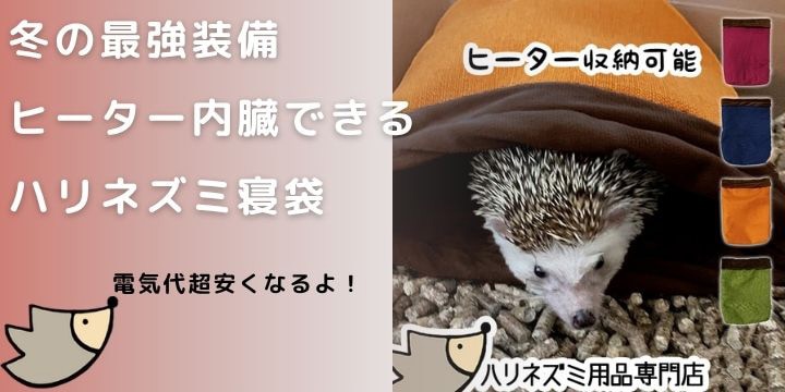 ももこ　ももこEdition 9040 　ハリネズミ  プロフ必読　送料込 ハリネズミ用品とフクロモモンガ用品の専門店「はりねずみんみん
