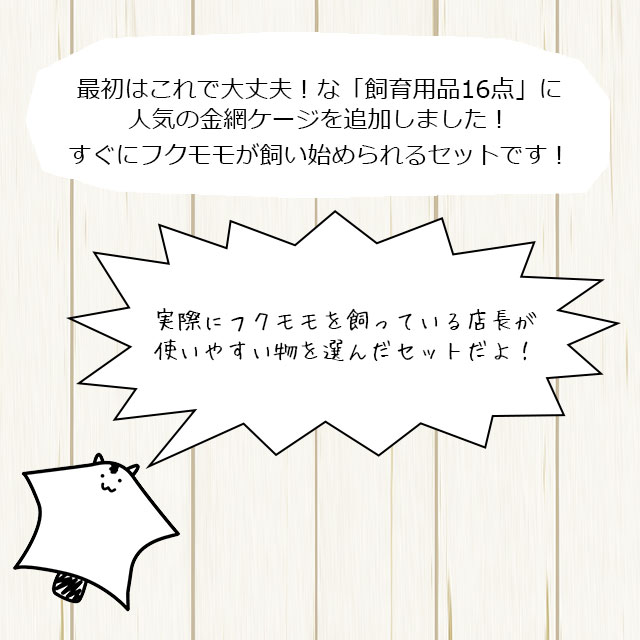 フクロモモンガの飼育初心者セット03 金網ケージと基本の飼育用品セット 「CASA セレクトケージ High40」 フクロモモンガがすぐ飼える17点 セット 初めての飼育セット はじめてセット【大型商品】 | | はりねずみんみん共和国とももんがもんもん共和国 | ハリネズミ用品と ...