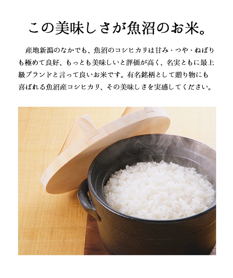 お米5kg 令和4年魚沼産コシヒカリ 白米 - 米/穀物