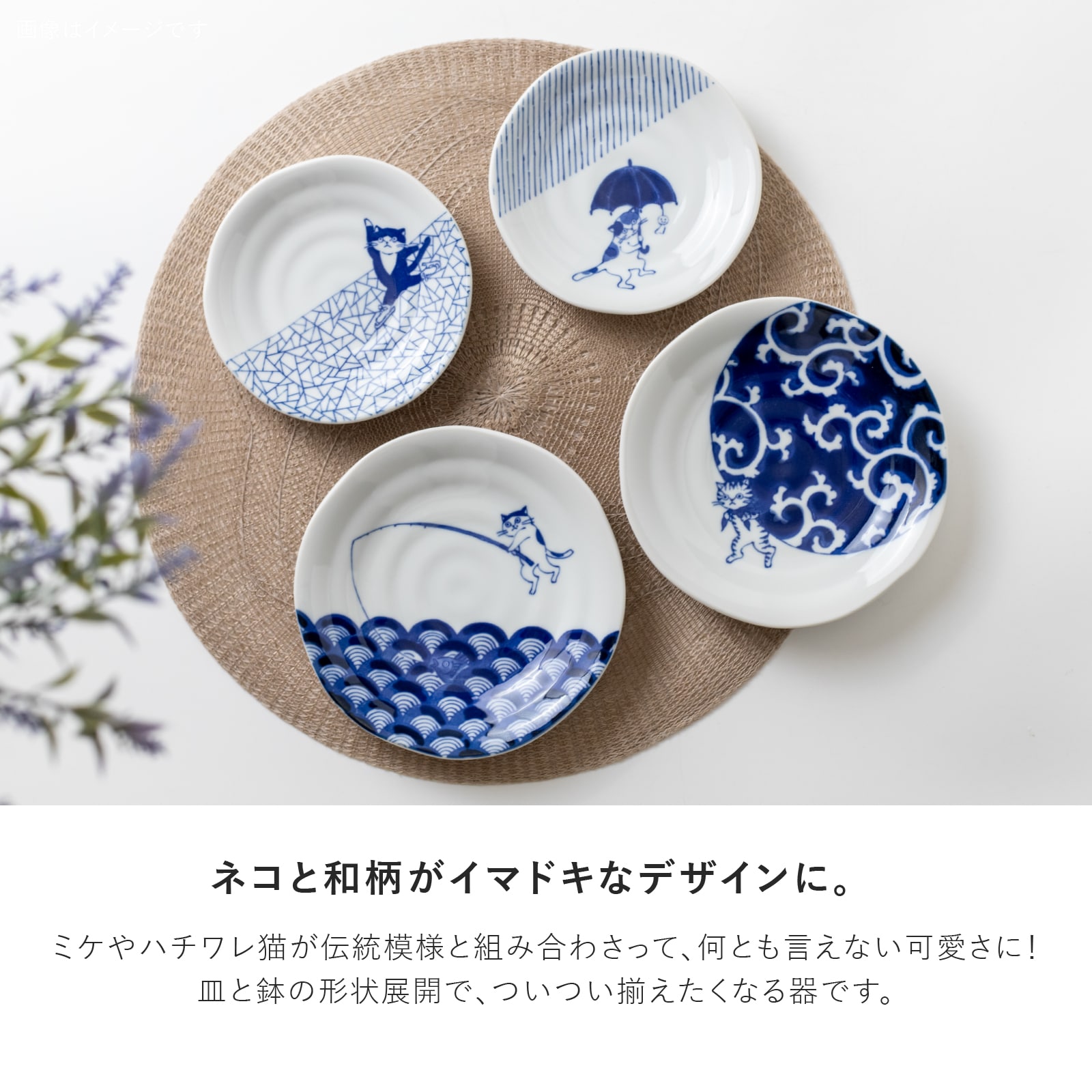シリーズ,COLLECTION,SOMENEKO | MINORU TOUKI