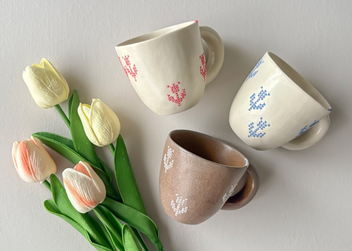 minosarara Plus+｜みのさららプラス