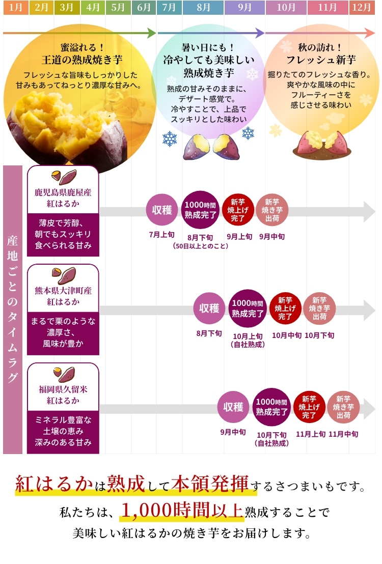 紅はるかは熟成して本領発揮するさつまいもです。私たちは、1,000時間以上熟成することで美味しい紅はるかの焼き芋をお届けします。