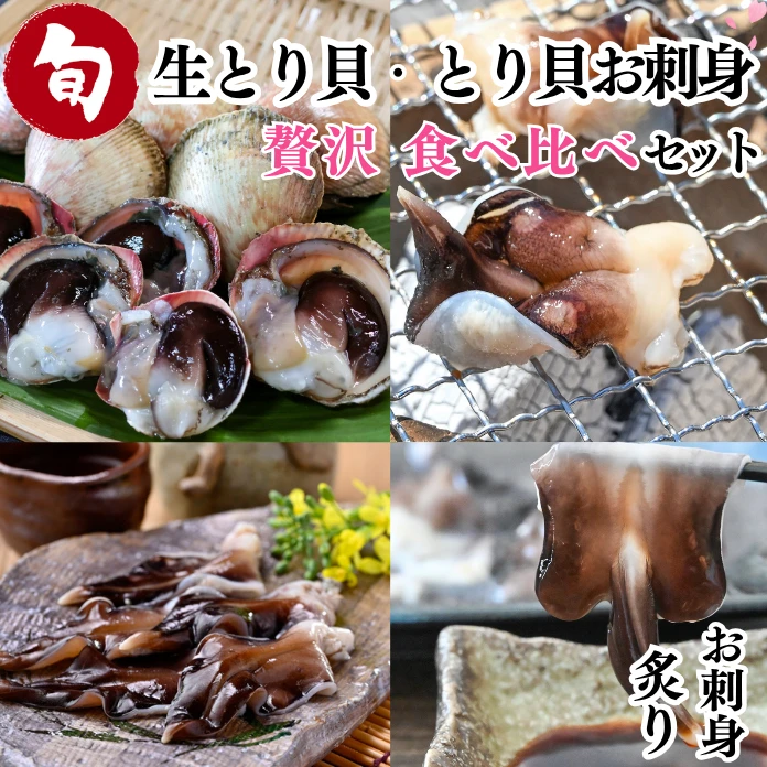 2026.4.6no.2福寿海霊　沖縄産夜行貝 岬だより オンラインストア | 2026年初夏のおすすめ特集