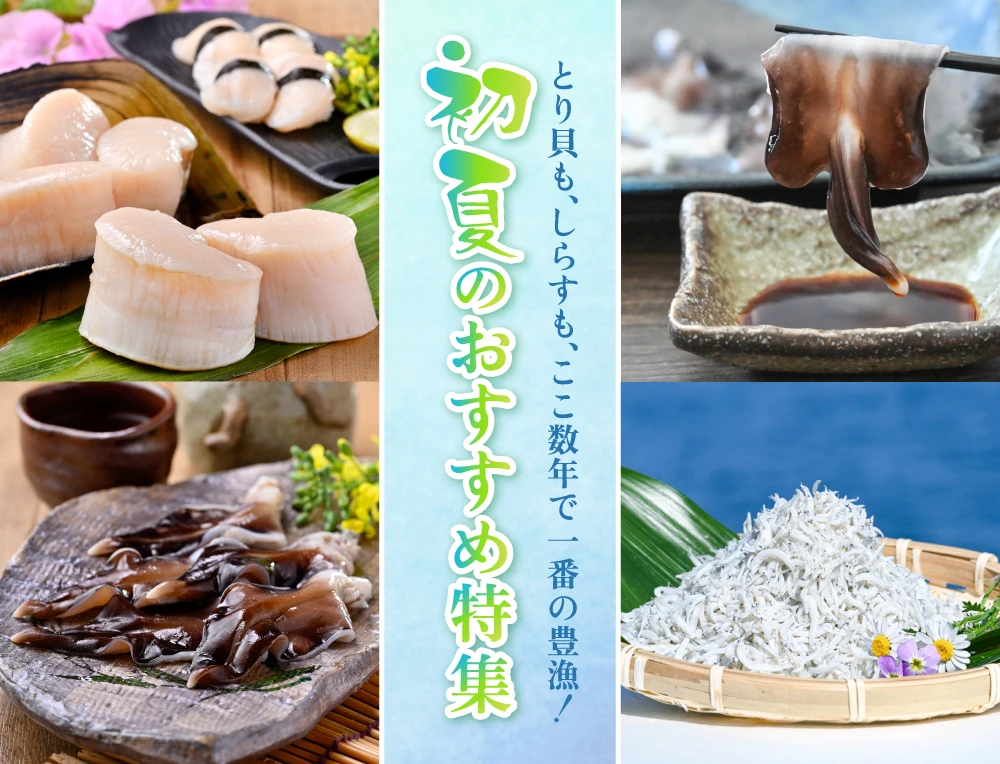 岬だより オンラインストア | 2026年初夏のおすすめ特集