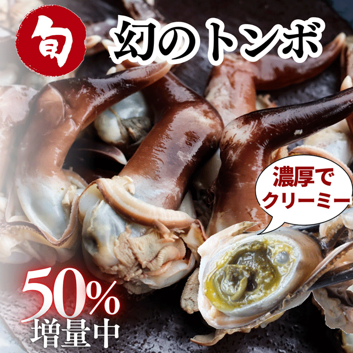 岬だより オンラインストア | 2026年初夏のおすすめ特集