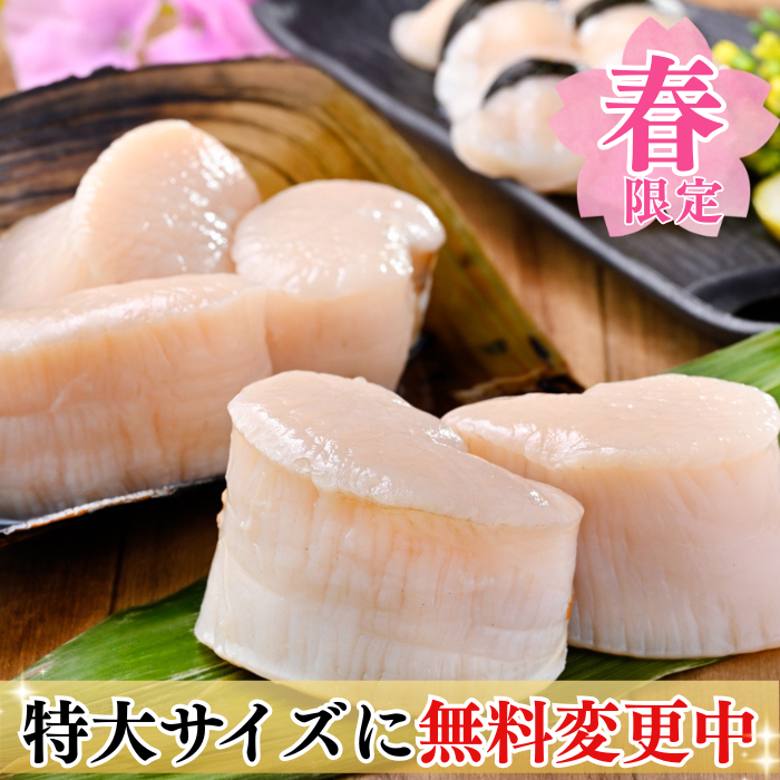 春限定) 天然平貝【特大サイズに無料変更中】4個/8個セット 【冷ぞう