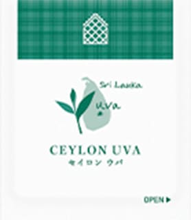 WN�������� ����