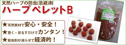 �С��֥ڥ�å�