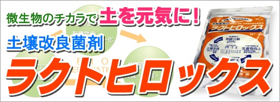 �饯�ȥҥ��å���