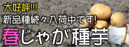 �դ��㤬���