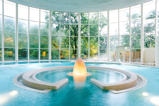 バーデと天然温泉豊島園庭の湯