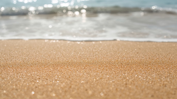 ショップについて