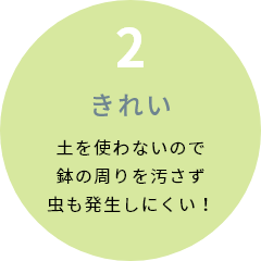 2 きれい 土を使わないので鉢の周りを汚さず虫も発生しにくい！