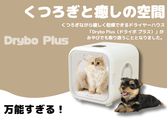 定価66000円ペットドライヤーハウス 犬用 猫用 drybo plus