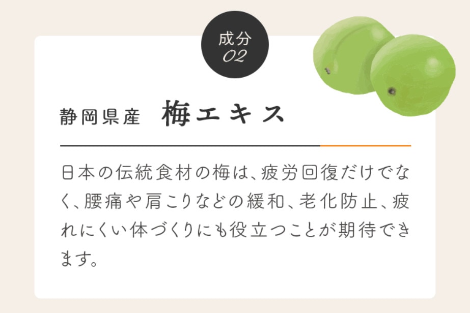 成分02、静岡県産 梅エキス：日本の伝統食材の梅は、疲労回復だけでなく、腰痛や肩こりなどの緩和、老化防止、疲れにくい体づくりにも役立つことが期待できます。