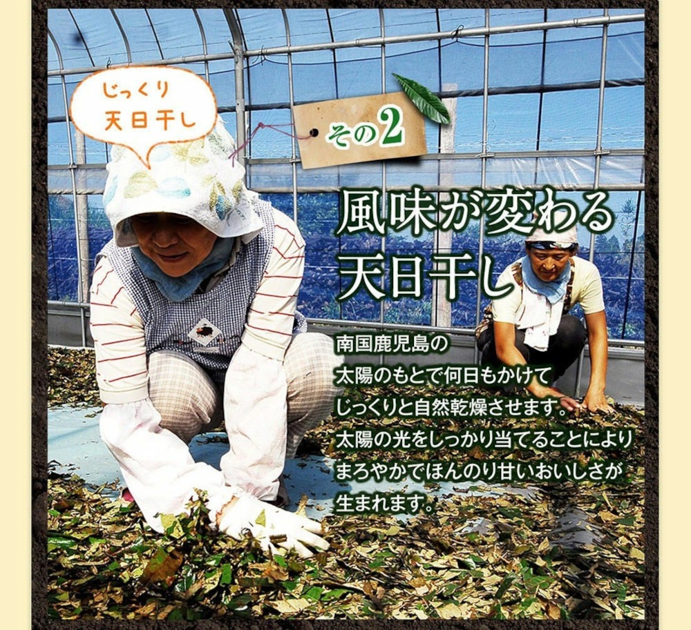 ねじめびわ茶【お徳用 200包入】｜みやび 公式通販