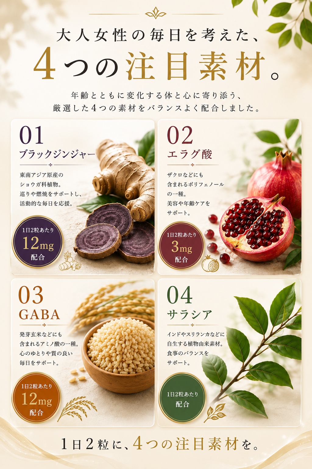 4�Ĥ������Ǻࡣ�֥�å����󥸥㡼�����饰����GABA�����饷��