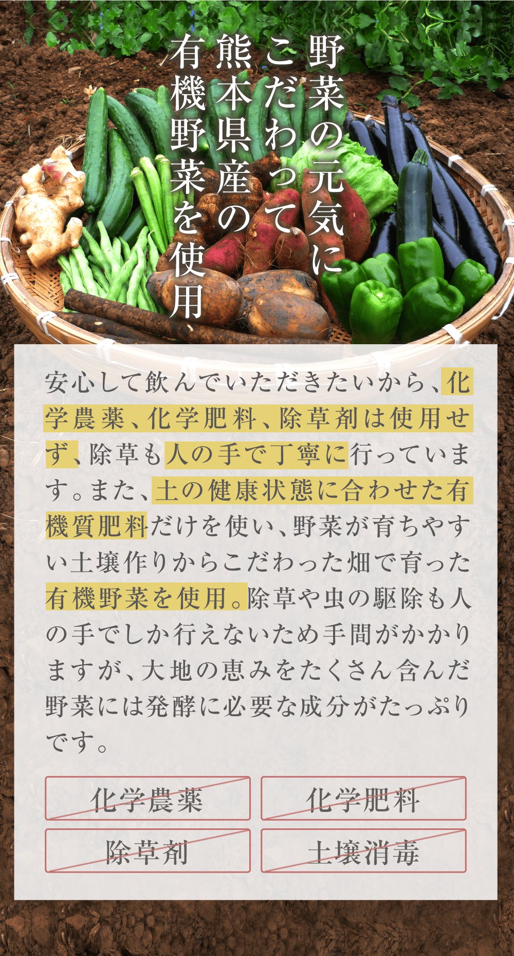 二年熟成・植物酵素100【二ヶ月2袋 定期便】｜みやび 公式通販