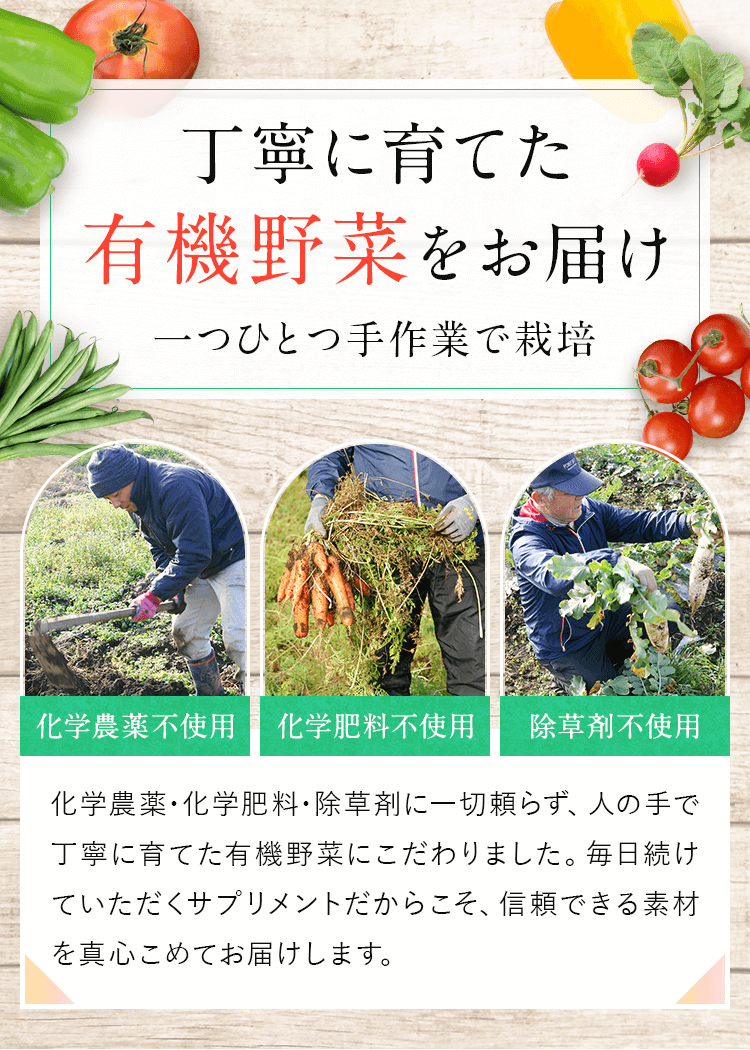 ��ĤҤȤļ��ȤǺ��ݤ�����ǫ�˰�Ƥ�ͭ����ڤ��Ϥ�
�����������Ի���
�����������Ի���
��������Ի���
������������������������ޤ˰�����餺���ͤμ����ǫ�˰�Ƥ�ͭ����ڤˤ������ޤ���������³���Ƥ����������ץ���Ȥ����餳��������Ǥ����Ǻ�򿿿�����Ƥ��Ϥ����ޤ���