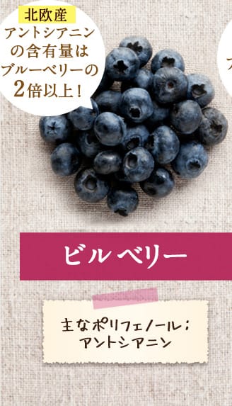 みやびオンラインストア ビルベリープレミアム 今 人気のブルーベリーサプリはコレ