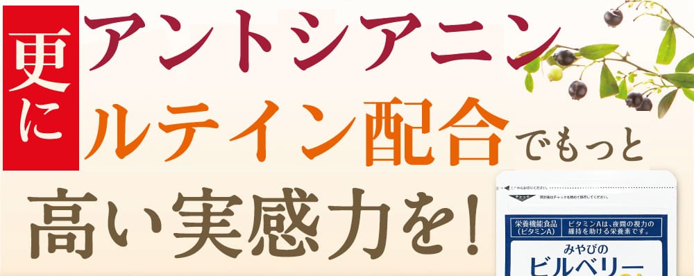 みやびオンラインストア ビルベリープレミアム 今 人気のブルーベリーサプリはコレ