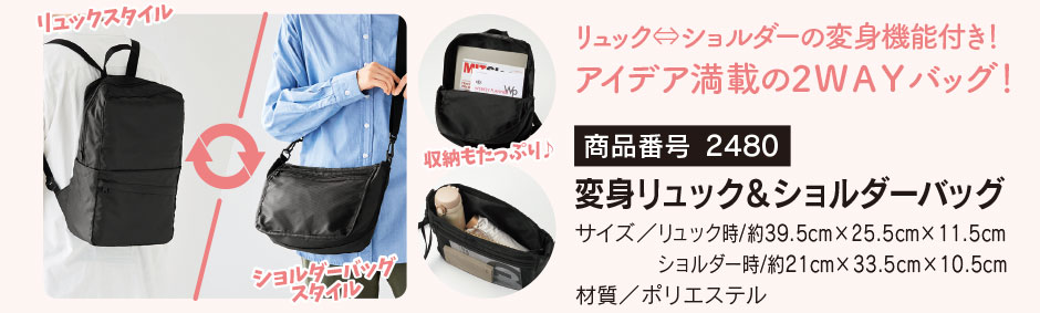 �����ֹ�2480���ѿȥ��å������������Хå�