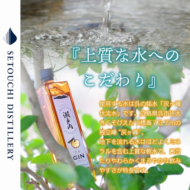 のしんページ Mega Man ZX 1: Ogino, Shin, Ogino, Shin: 9781897376683: Amazon.com