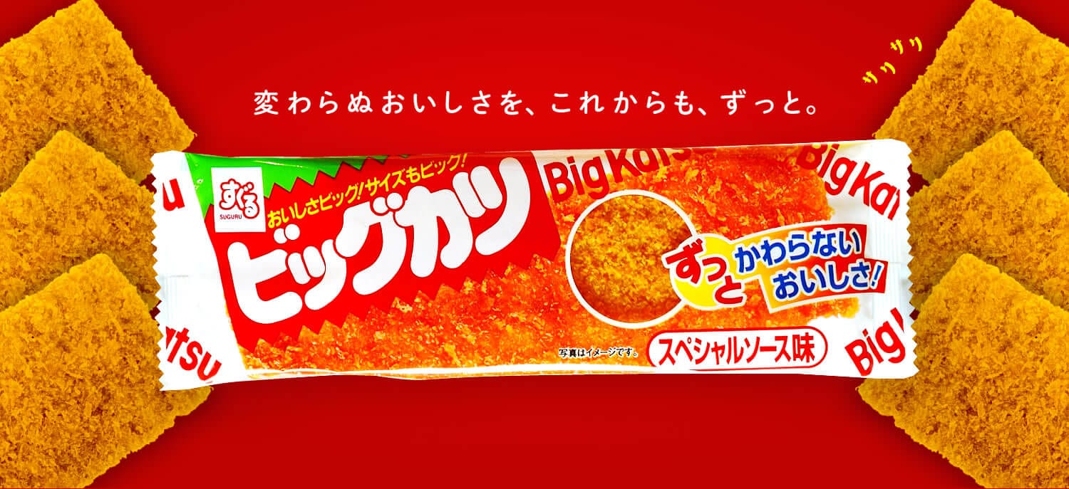 �ӥå��������