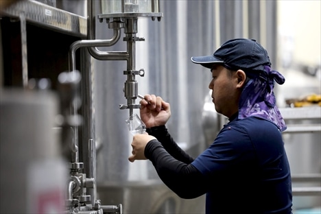 ウイスキーの原酒。樽詰め前の原液。ニューポット瀬戸内 200ml 広島県