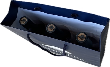 ���ȥ����ǥ����ƥ���꡼ �������ꥷ��åԥ󥰥Хå�