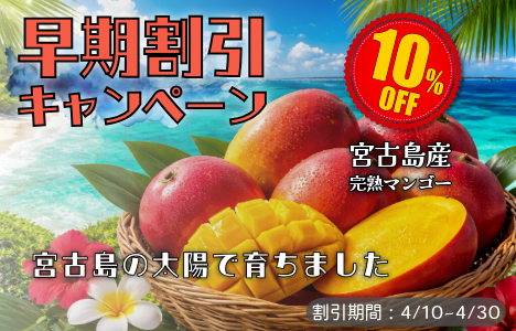 2026ǯ����������ޥ󥴡������ڡ���