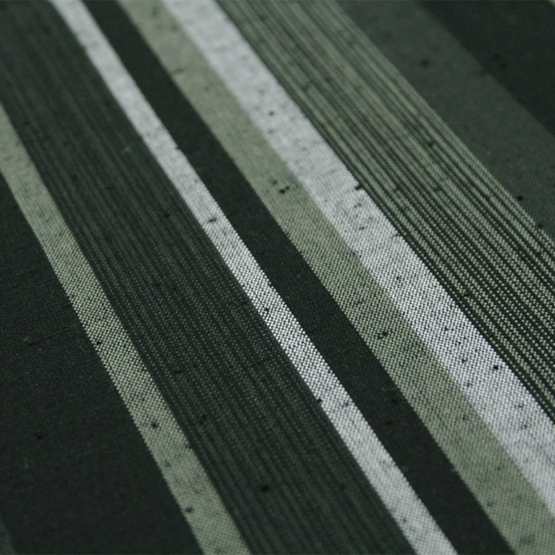 縞柄(しまがら) 緑大縞の写真