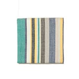 彩衣（さいい）マルチカラーの写真