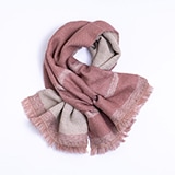 オールドローズの写真