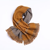 マスタードの写真