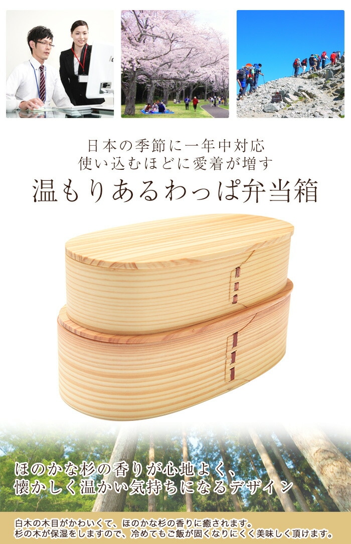 お弁当箱 曲げわっぱ 小判二段入子 弁当箱 白木 1030ml 2段 ウレタン塗装 【お弁当箱 まげわっぱ 和風 男子 大容量 女子 大人 子供  女の子 男の子 スリム おしゃれ 運動会 遠足 麺 丼 木製 送料無料】 | 特集,【セール☆特設会場】 | みよし漆器本舗