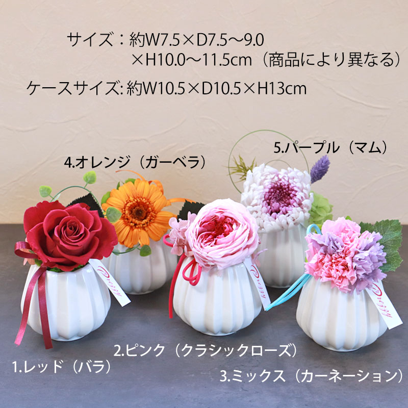 プリザーブドフラワー クリアケース入り マノン 一輪花 母の日 ギフト