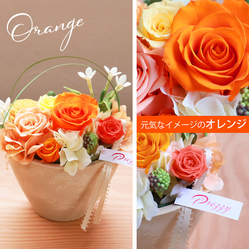 プリザーブドフラワー クリアケース入り クレール 母の日 ギフト アレンジメント お花 かわいい プレゼント バラ 薔薇 アジサイ 紫陽花 そのまま飾れる インテリア お祝い 誕生日 プリザード おしゃれ 雑貨 送料無料 ラッピング可 特集,ギフト特集,プリザーブドフラワー