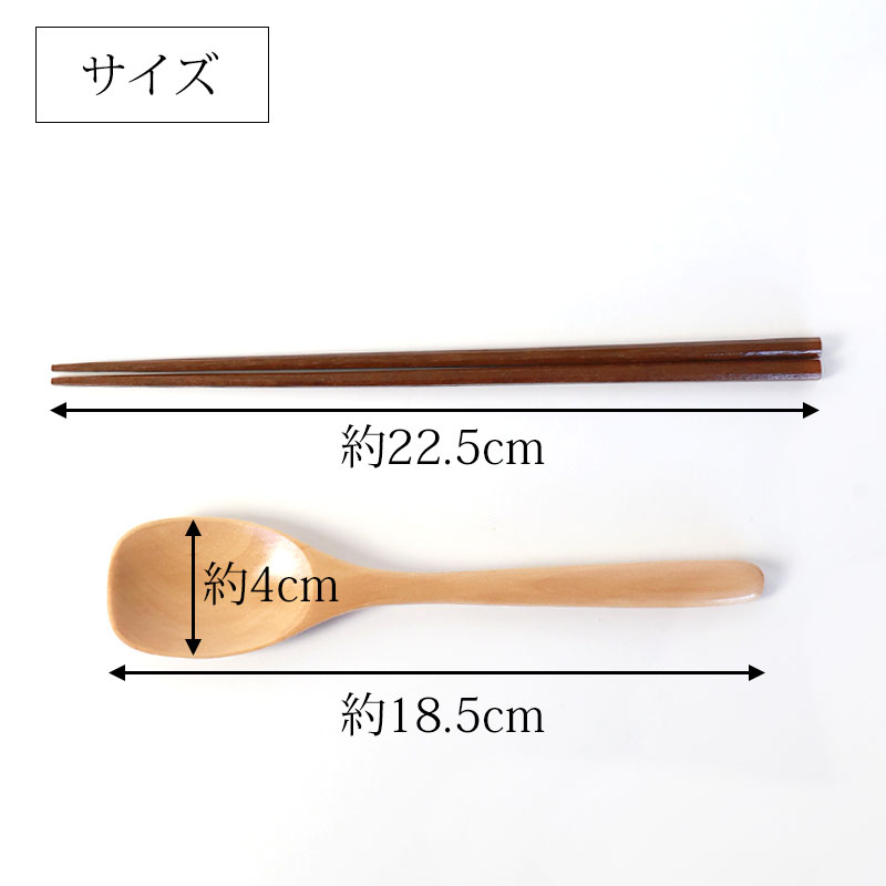 お箸 カレースプーン コンビセット 箸 スプーン セット ナチュラル