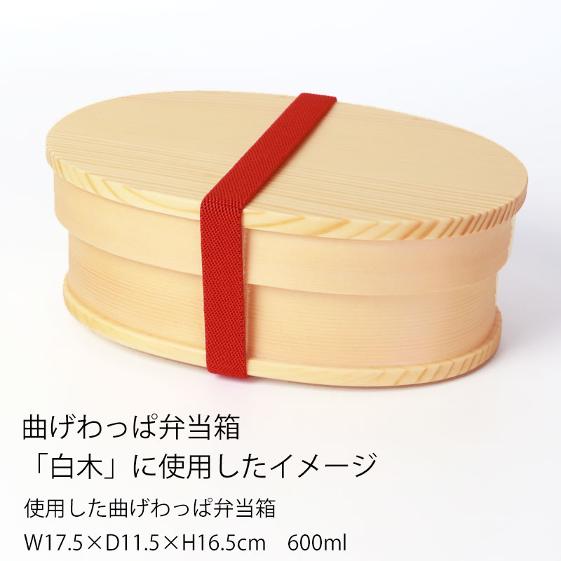 ランチバンド レッド 赤 24cm 幅1.5cm ランチベルト ゴムバンド カラー