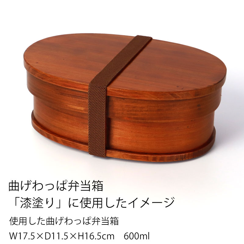 ランチバンド ブラウン 茶色 24cm 幅1.5cm ランチベルト ゴムバンド