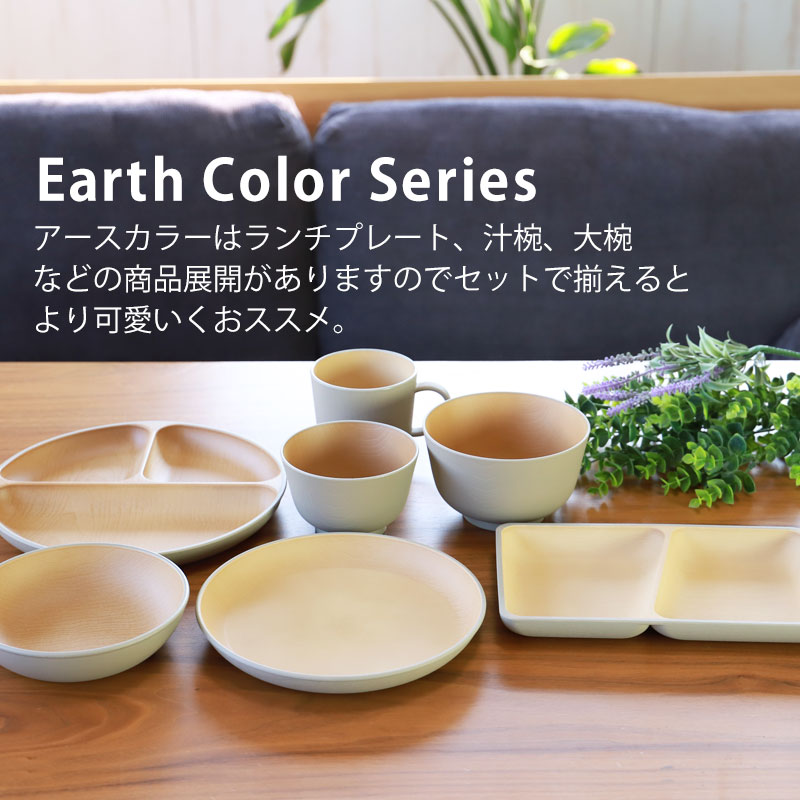 ランチプレート 2枚セット 丸型 25cm アースカラー 食洗機対応 電子