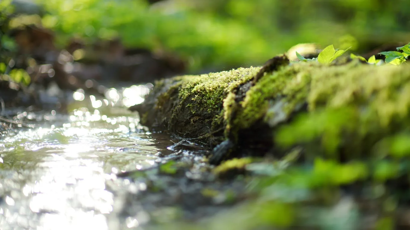 水生活製作所の社員が旅先都城市で学んだ水の話