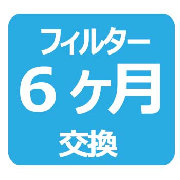 6ヶ月交換