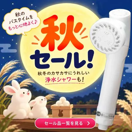 秋のセールアイテムはこちら