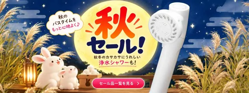 マイクロナノバブルや浄水にこだわった水生活製作所のシャワーヘッドが今だけ20％オフで購入できる梅雨の日セール！