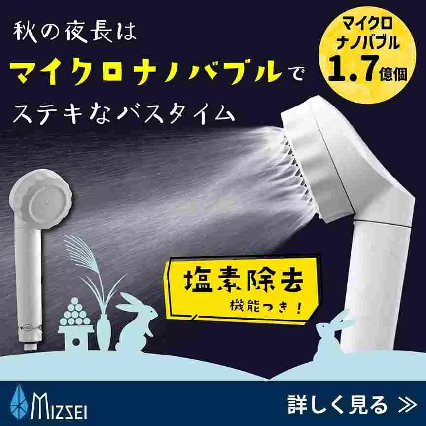 秋の夜長にバブリージョワー2.0