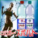 エンジンガー・スポルト