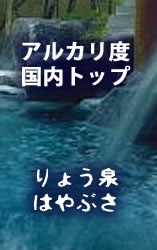 りょう泉　はやぶさ